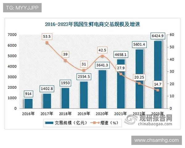 分析星天地娱乐的市场竞争优势与行业地位未来发展潜力
